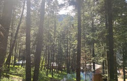 Tram Ln, WallowaLake, OR 97846