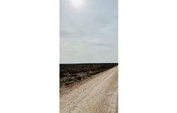 SW CR 389, Grandfalls, TX 79742