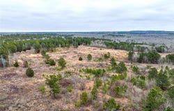 0 County Road 4243D, Laneville, TX 75667
