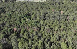 XXX Central Road, Horatio, AR 71842