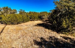 Cedar Ridge, Kerrville, TX 78028