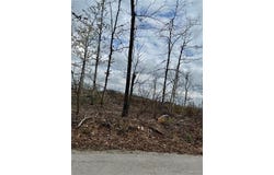 1365 County Road 3500, Mountain View, MO 65548