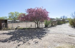 350 Applewood Road, Corrales, NM 87048