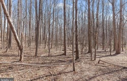3891 GREENMEADOW LN, DAVIDSONVILLE, MD 21035