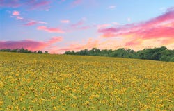 1515 County Road 315, Jarrell, TX 76537