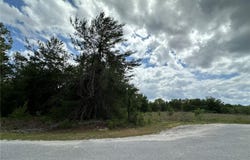 Tbd MALAUKA LANE, OCKLAWAHA, FL 32179