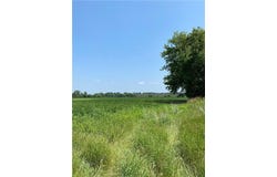 Tbd HWY 65 NE, Stanchfield Twp, MN 55006