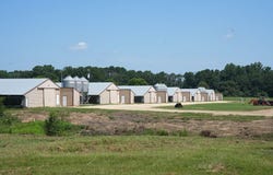 544 SCR 503 B, Magee, MS 39111