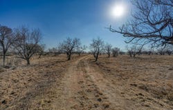 4536 W Highway 29, Llano, TX 78643
