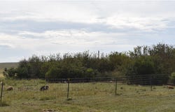 891 Mail Route Road, MT 59222