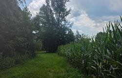 Aspen Wall Rd, Brookneal, VA 24528