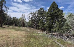 25471 Road T, Dolores, CO 81323