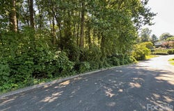 V/L Woodland Drive, Marion, NC 28752