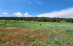 Escalante Road, Edgewood, NM 87015