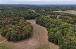 6040 E HIGHWAY 28, PINE APPLE, AL 36768