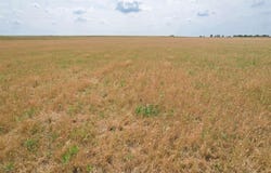 E 158 County Road, Altus, OK 73521