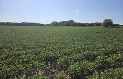 0001 16th Road, Ellsworth, KS 67439
