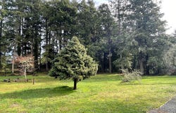 5th ST, Gearhart, OR 97138