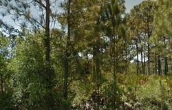 13077 Rankin Avenue, Port Charlotte, FL 33953
