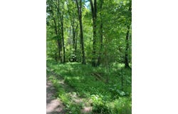 1215 Sandy Run Road lot: Angle, Confluence, PA 15424