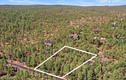 2280 S Bristlecone Drive, Show Low, AZ 85901