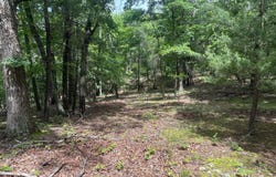 2.23 AC DOE TRAIL, SPRINGFIELD, WV 26763