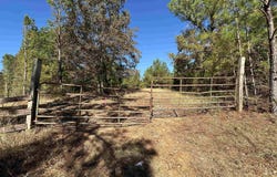 COUNTY ROAD 483 lot: 0, VINCENT, AL 35178