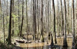 Walnut Road, Carthage, MS 39051