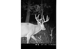 Tbd CR 3550, Honey Grove, TX 75446