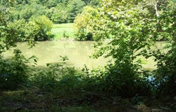 3388 Horton Ford Road, Eidson, TN 37731