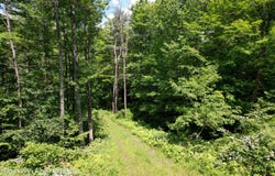 1604 Spruceton Road, West Kill, NY 12492