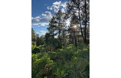 Eagles 2A, Chama, NM 87520