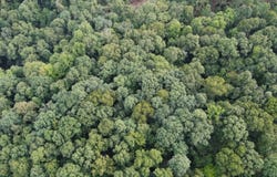 Hidden Acres RD, Tell City, IN 47586