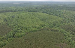 000 S Hoggle Ridge Rd, Haleyville, AL 35565