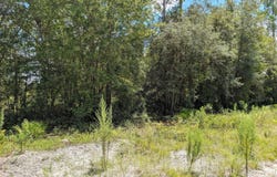 SE 48TH Lane, Starke, FL 32091