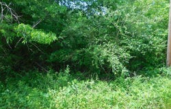 .38 Acre Garrett Avenue, East Tawakoni, TX 75472