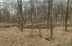 9 Lilac Lane, Catskill, NY 12414