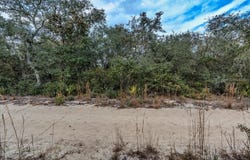 NE 233RD Lane, FORT MC COY, FL 32134