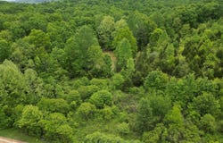 Lot 2 Duvall Rd, Caneyville, KY 42721