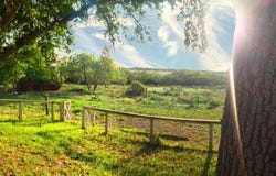 112 Fm 1042, Three Rivers, TX 78071