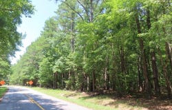0 Park Road, Ridgeway, SC 29130