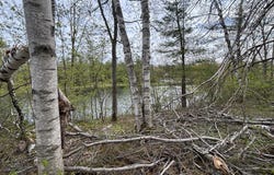 Iroquois Trail lot: 253, Gaylord, MI 49735