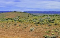 off Gnarly Oaks, Goldendale, WA 98620