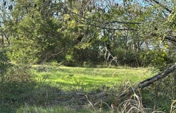 731 NW 1st Street, Cooper, TX 75432