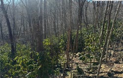 Gumtree Road, Beech Mountain, NC 28604