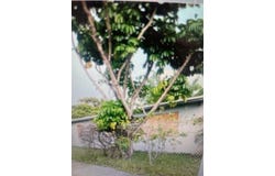 901 NW 24th Ave, Fort Lauderdale, FL 33311