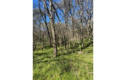 Lots 638. 639. 640 Kaukonahua LN, Bastrop, TX 78602