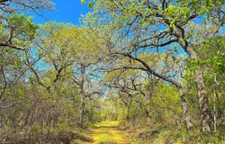7885 Old Agnes Road, Poolville, TX 76487