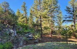 110 Dead Log Ln, Texas Creek, CO 81223