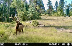 000 SR 512, Chama, NM 87575